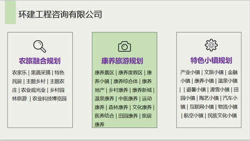 安國社會(huì)穩(wěn)定風(fēng)險(xiǎn)評估報(bào)告 信息系統(tǒng)集成服務(wù)公司的專業(yè)能力分析